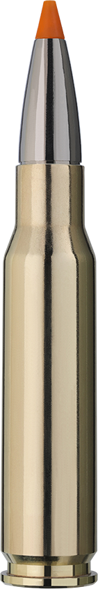 RWS 308 Win 10,7 g Hit